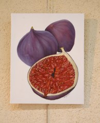 Figs_53b8478f0138b.jpg